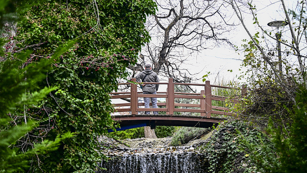 توقعات بطقس معتدل وانخفاض ملموس في درجات الحرارة وفق وكالة مدار نيوز